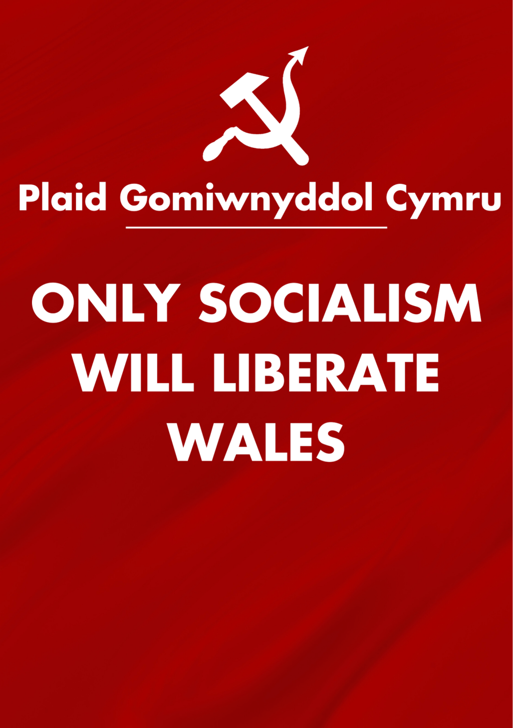 ‘Only Socialism Will Liberate Wales’&nbsp;Explained